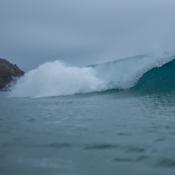 Meet your Posher, Becky - Picture 1 of 1